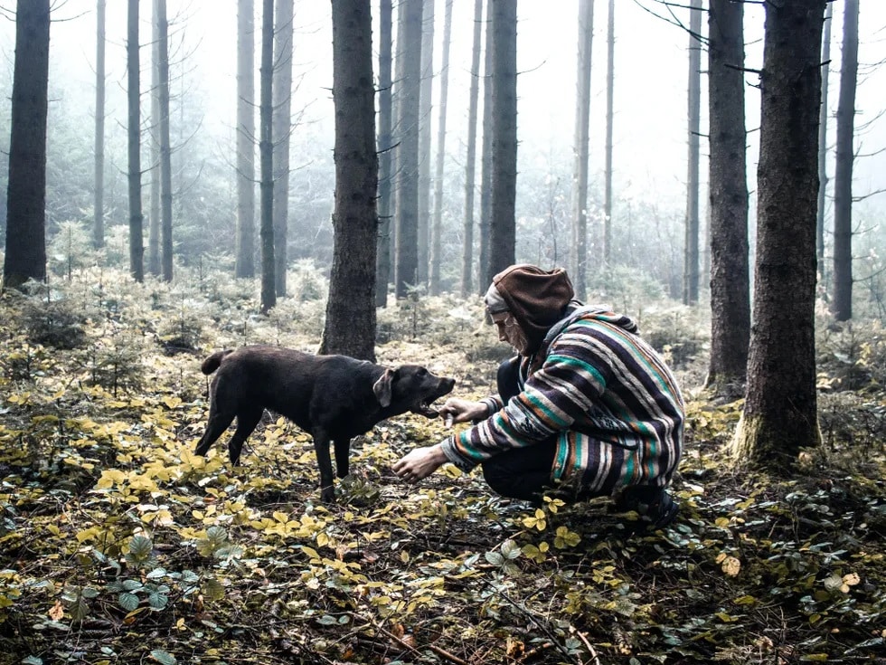 Image of person kneeling and reaching out their hand to a black dog