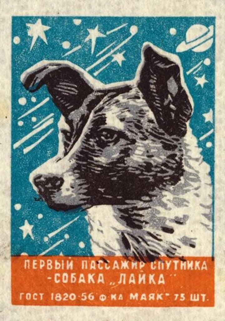 Image of a stamp with a drawing of Laika on it with Russian letters beneath.