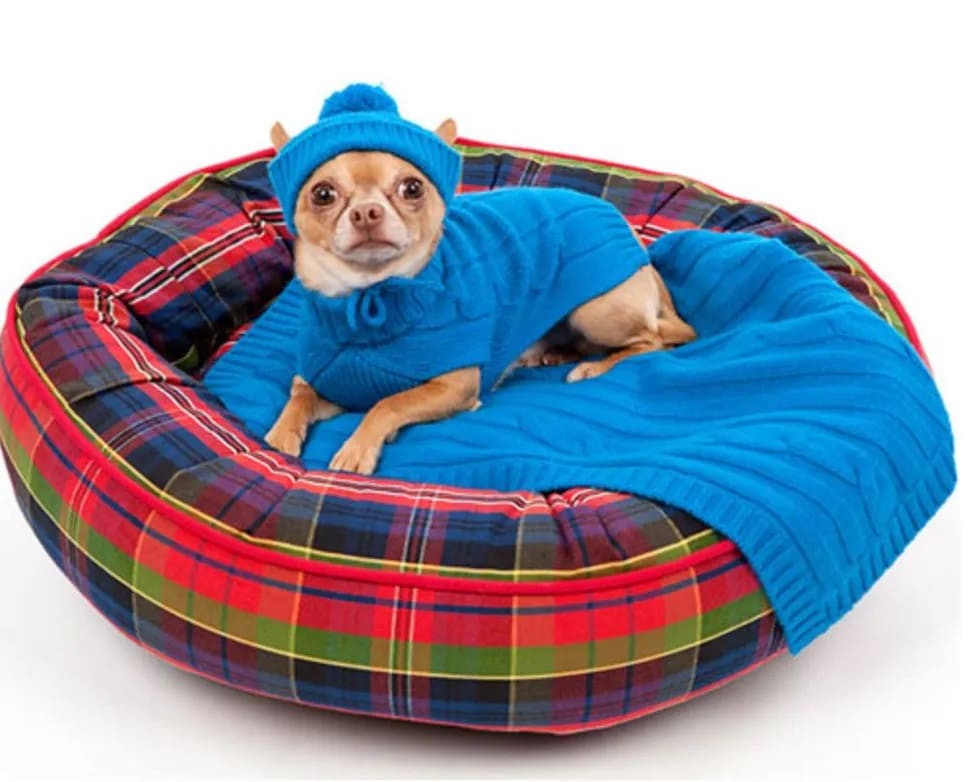 Dog Blanket