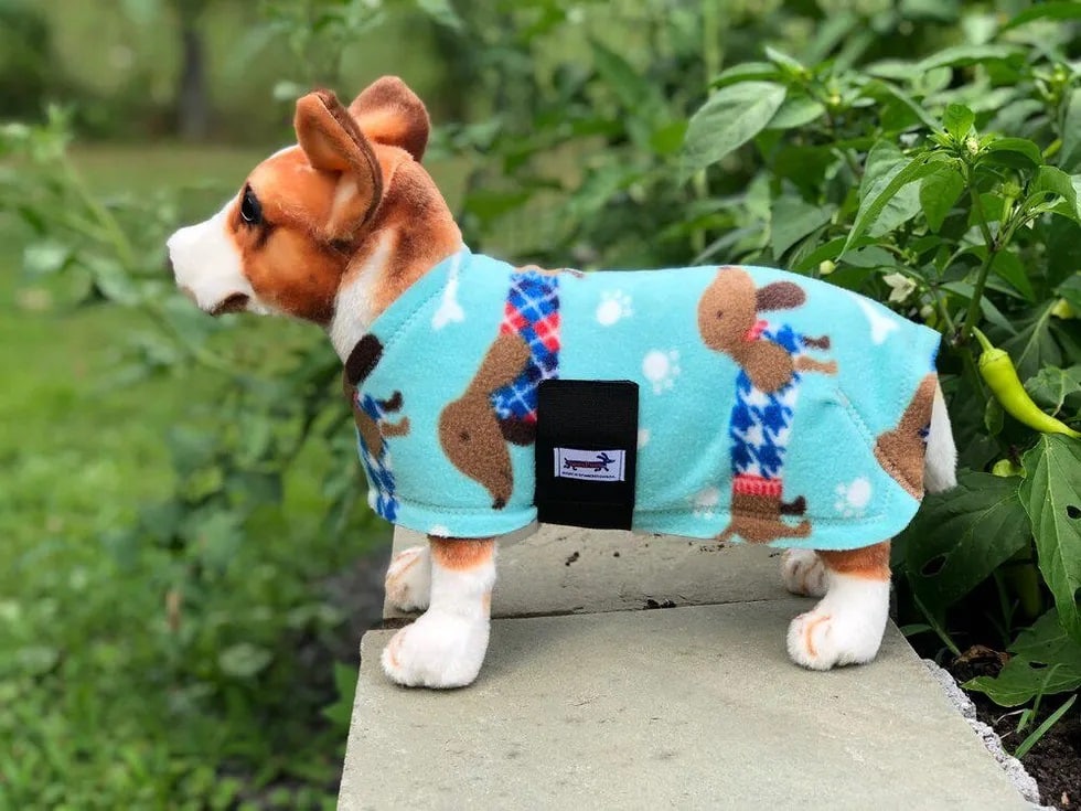 Dog Coat