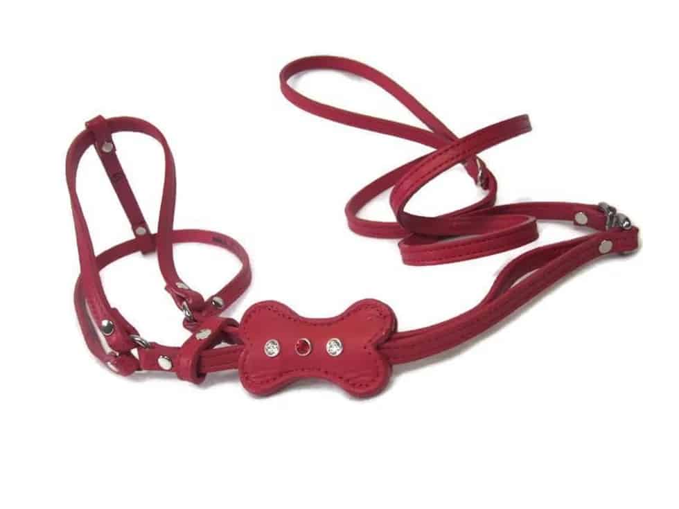 Dog Collar