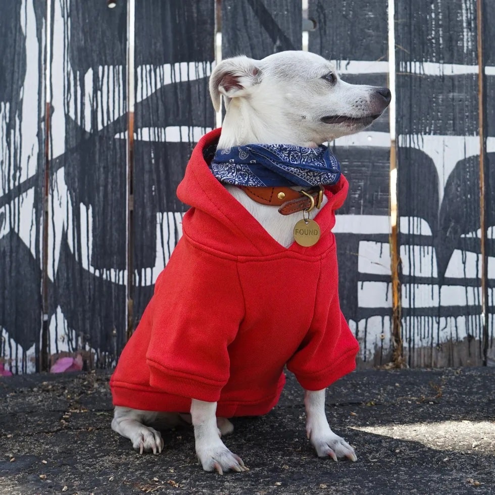Dog Hoodie