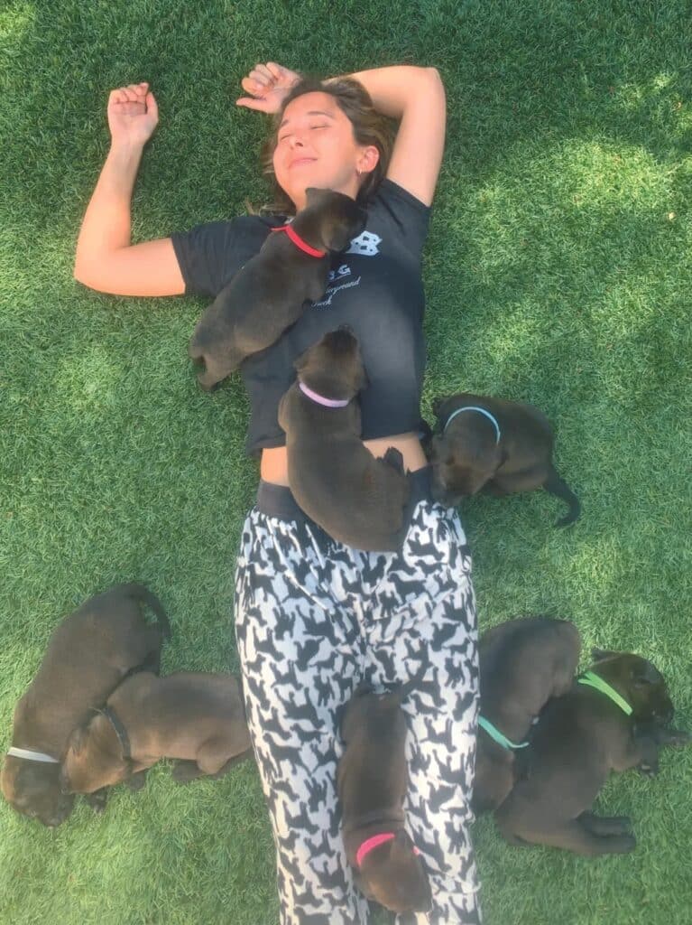 Victoria lying on grass with a full litter of eight puppies - Love, Dog
