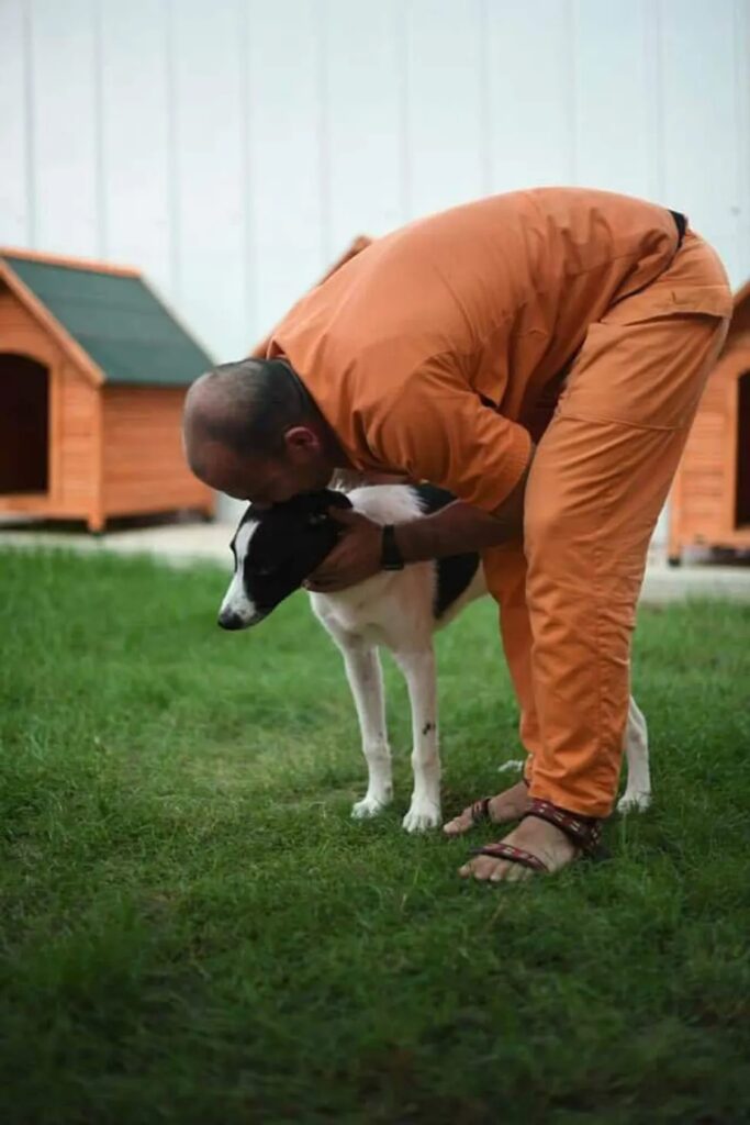 A man on green grass with a series of small dogs houses lined up in the background,. He's wearing an orange jumpsuit and is bending down, kissing a large black and white dog on the top of the dog's head.