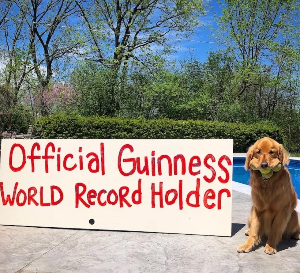 Dog wins Guinness World Record