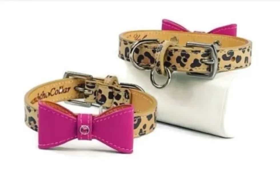 fancy dog collars with bows