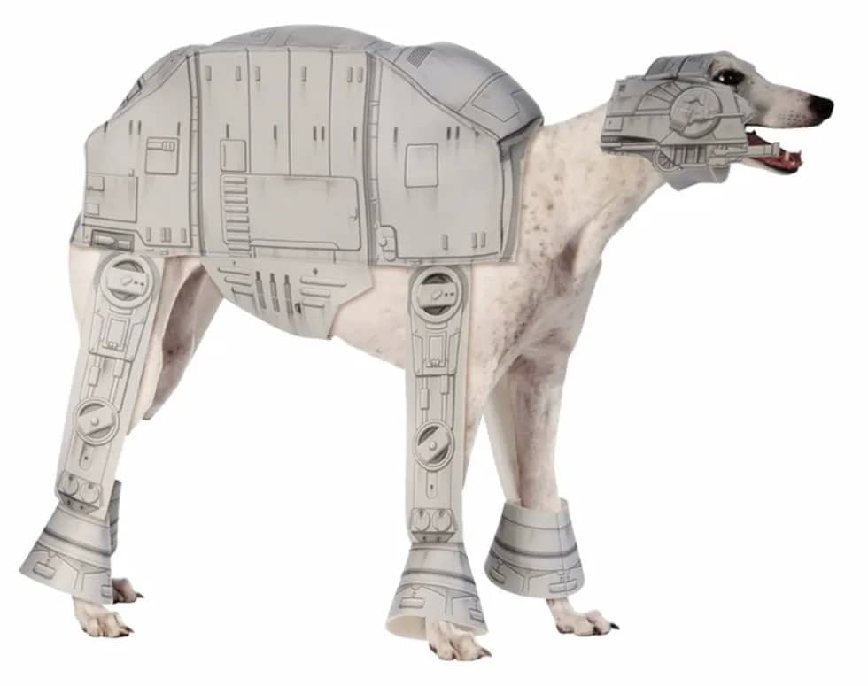 Dog in Star Wars costume