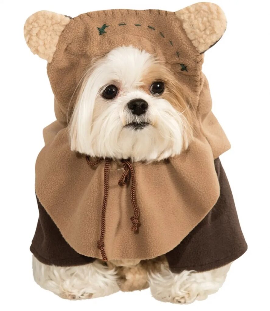 Star Wars dog