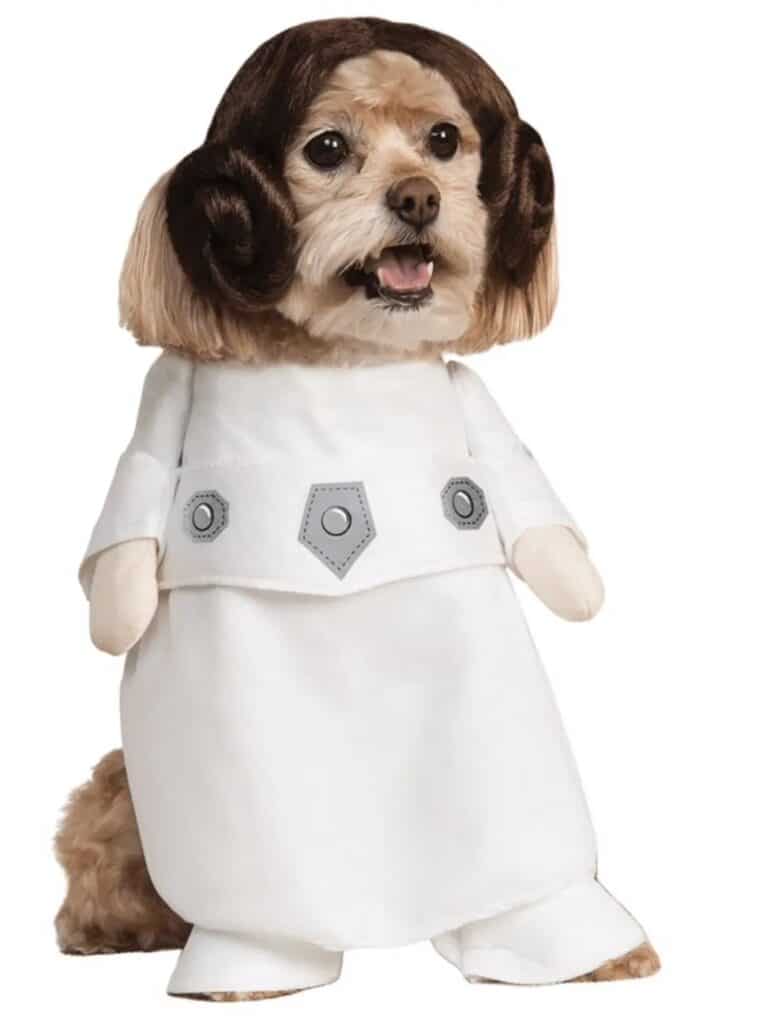 Star Wars Dogs